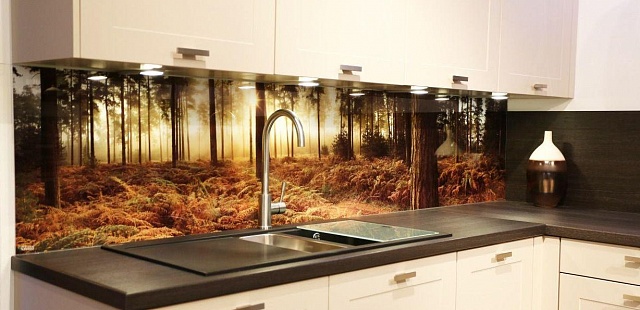 СКИНАЛИ /ФАРТУК ИЗ ЗАКАЛЕННОГО СТЕКЛА/